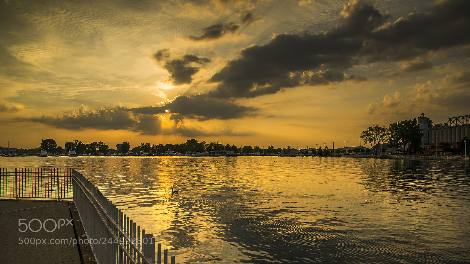 Nikon D610 sample photo. Sunset over sarnia marina photography