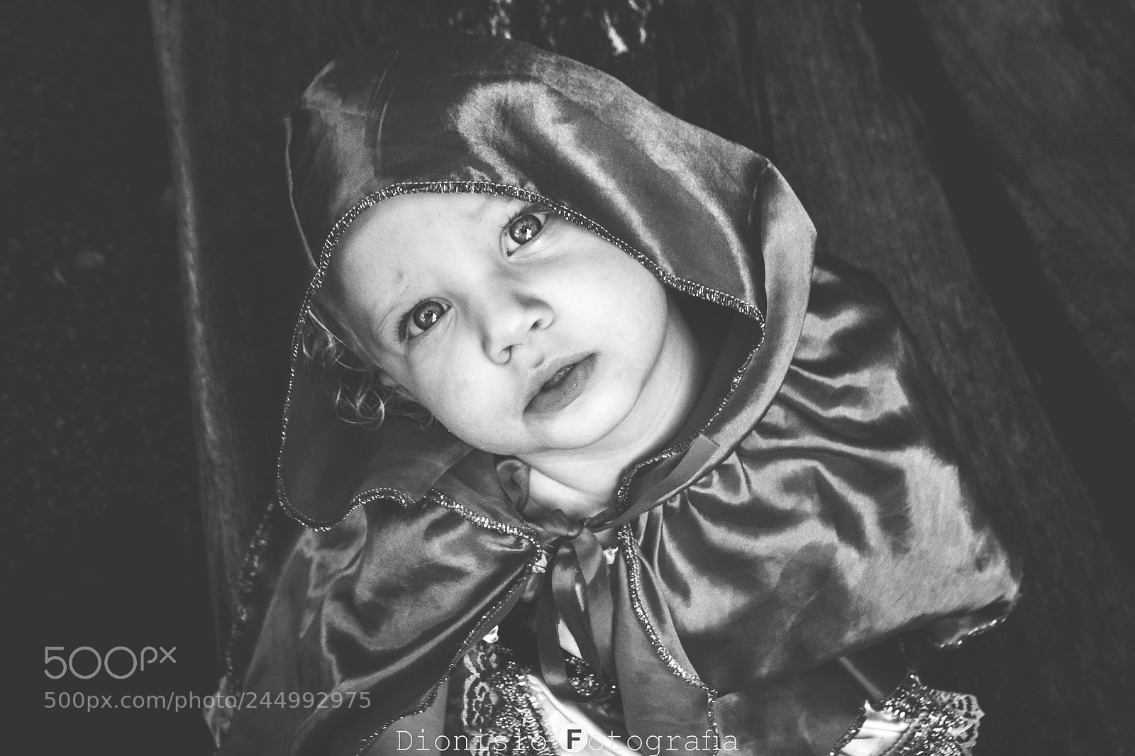 Nikon D3100 sample photo. Untitled photography