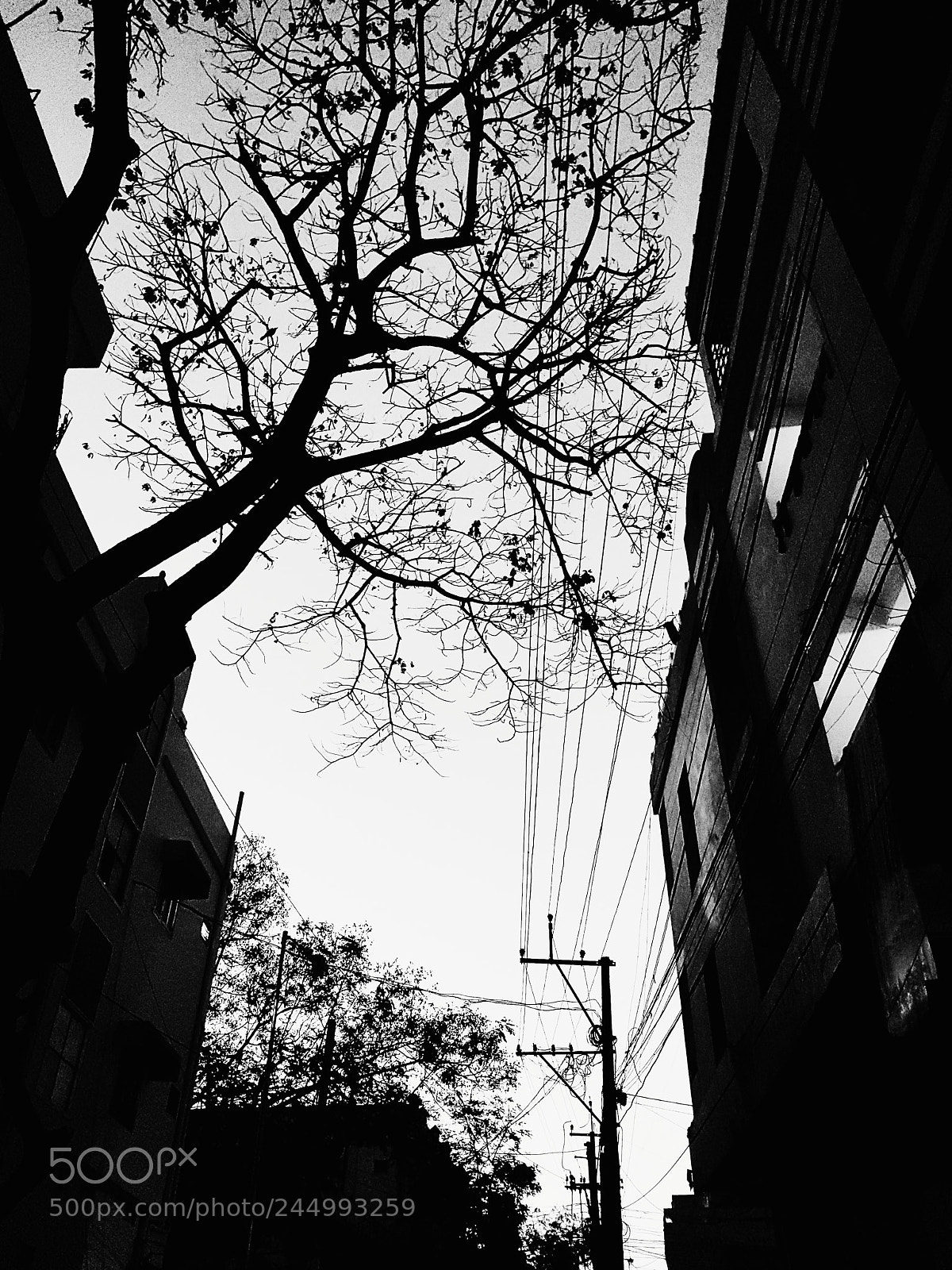 Samsung Galaxy S7 Edge sample photo. Street photography
