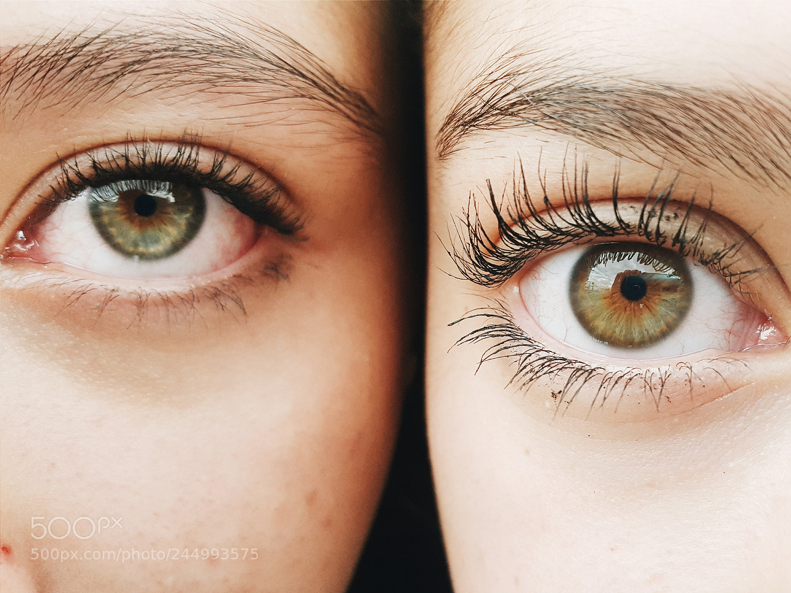 Samsung Galaxy S6 sample photo. [iris close up] photography