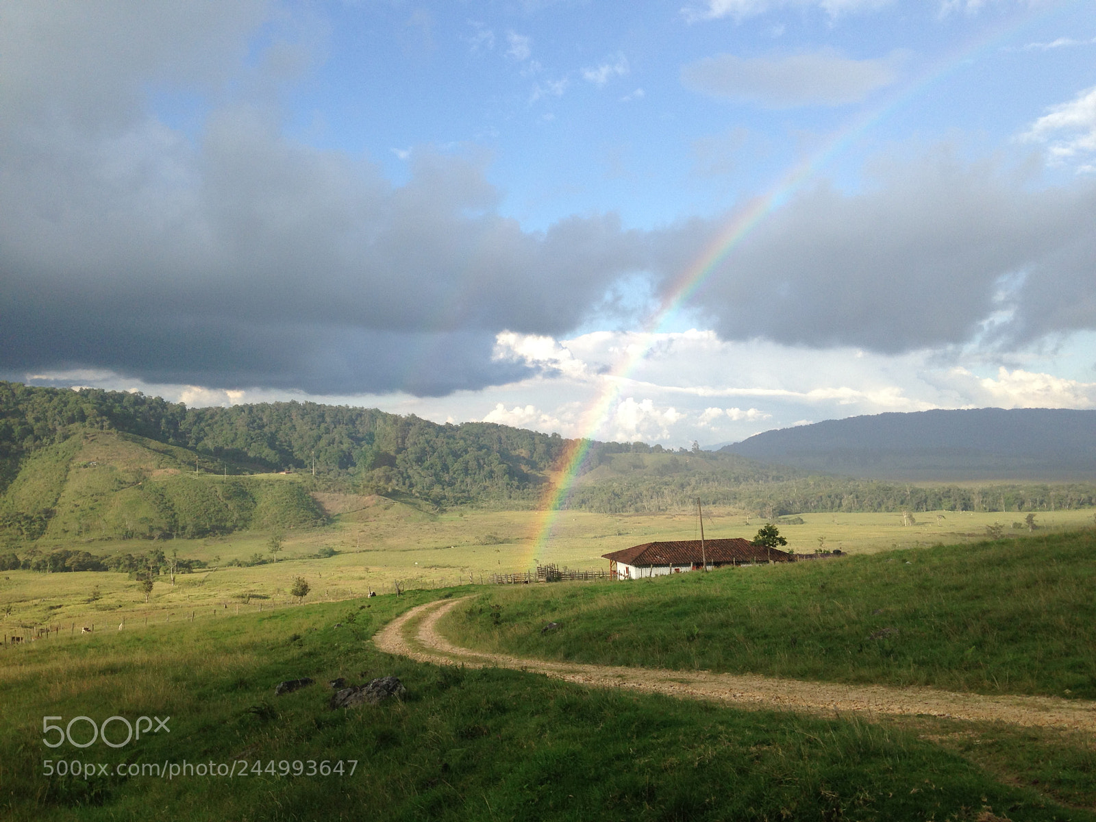 Apple iPhone 5c sample photo. Via oporapa, sur del photography