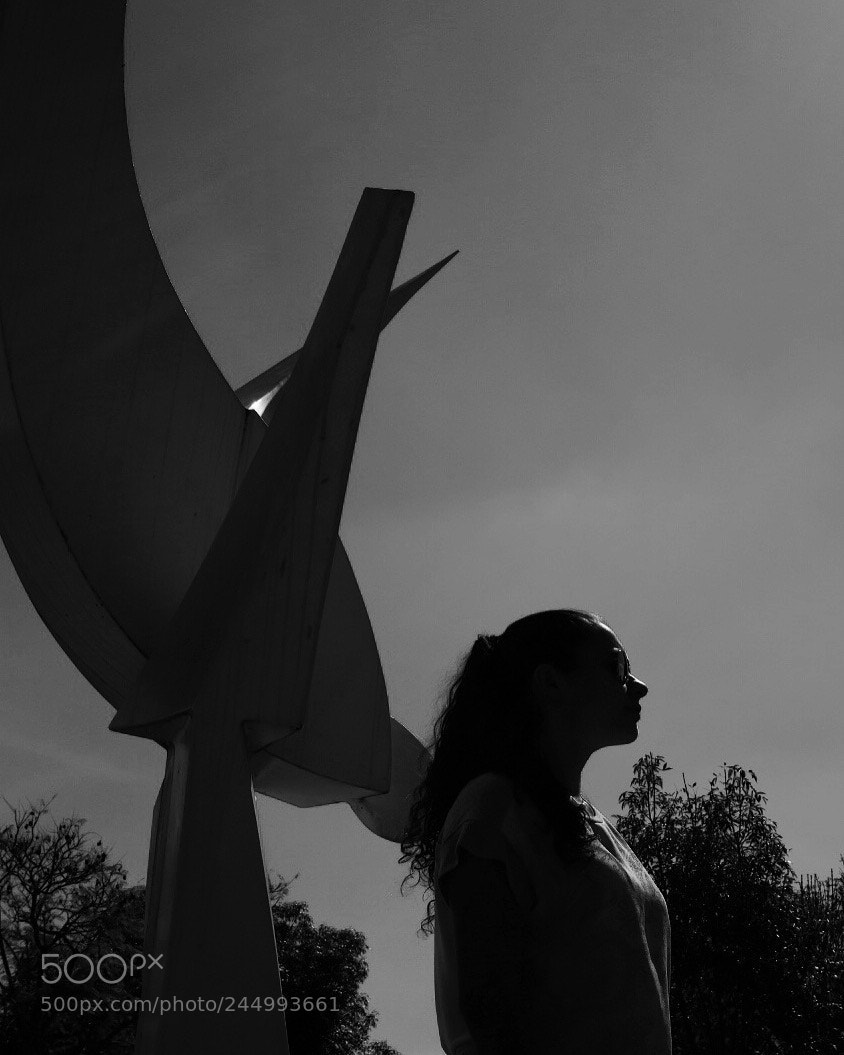 Fujifilm X100F sample photo. Wings photography