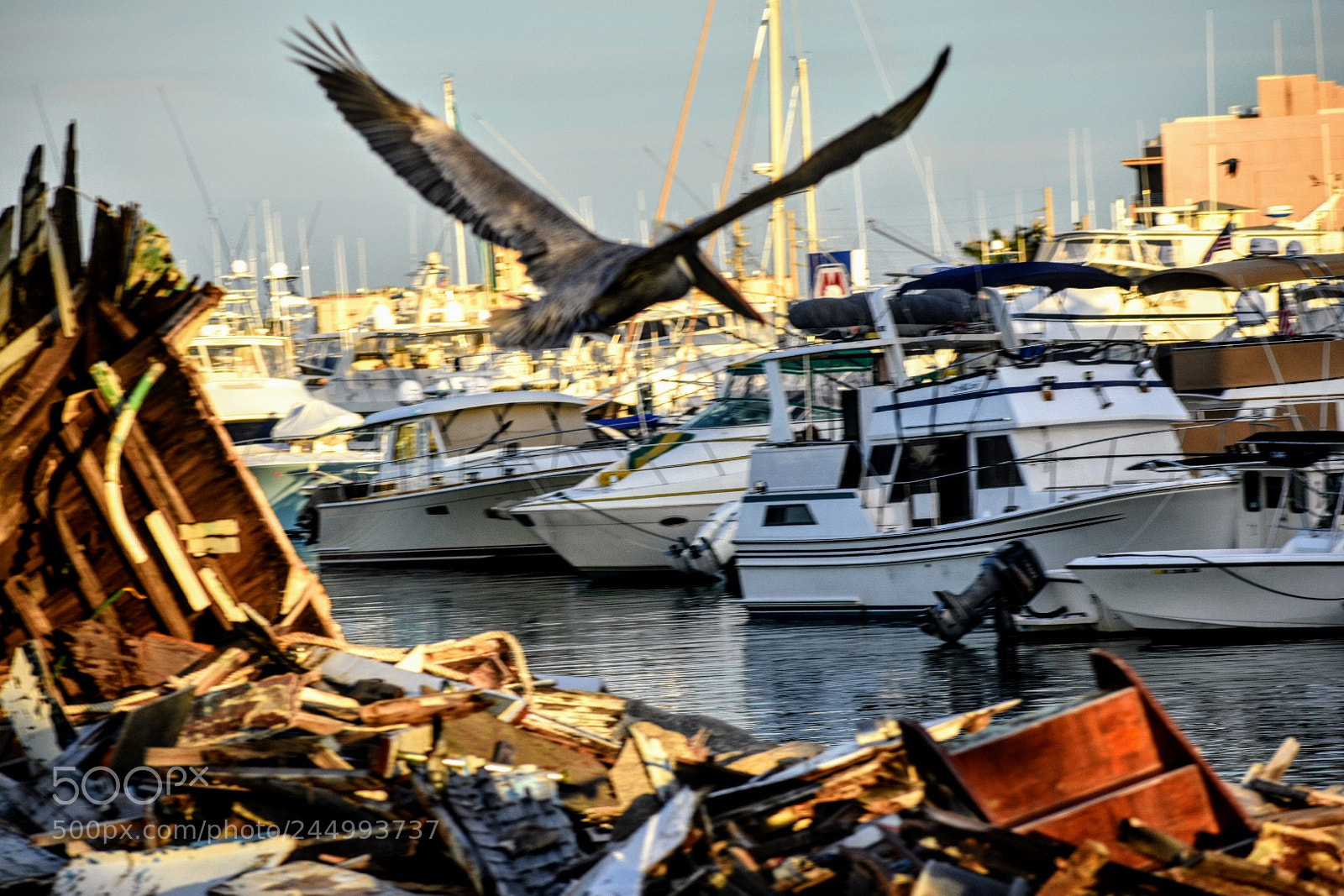 Nikon D3400 sample photo. Before sunset photography