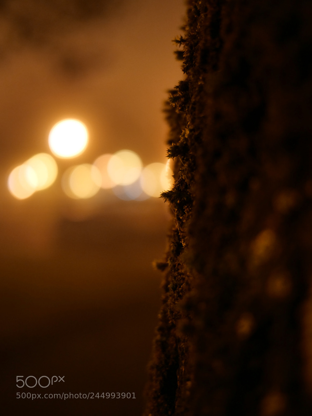 Panasonic Lumix DC-G9 sample photo. Untitled photography