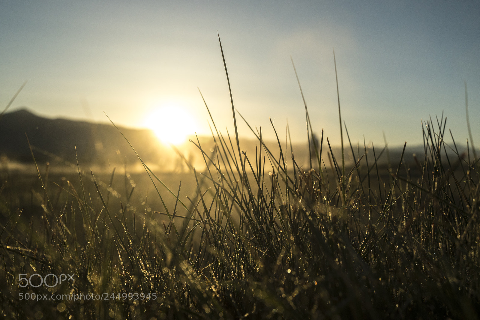 Sony a7R II sample photo. Sunrise photography