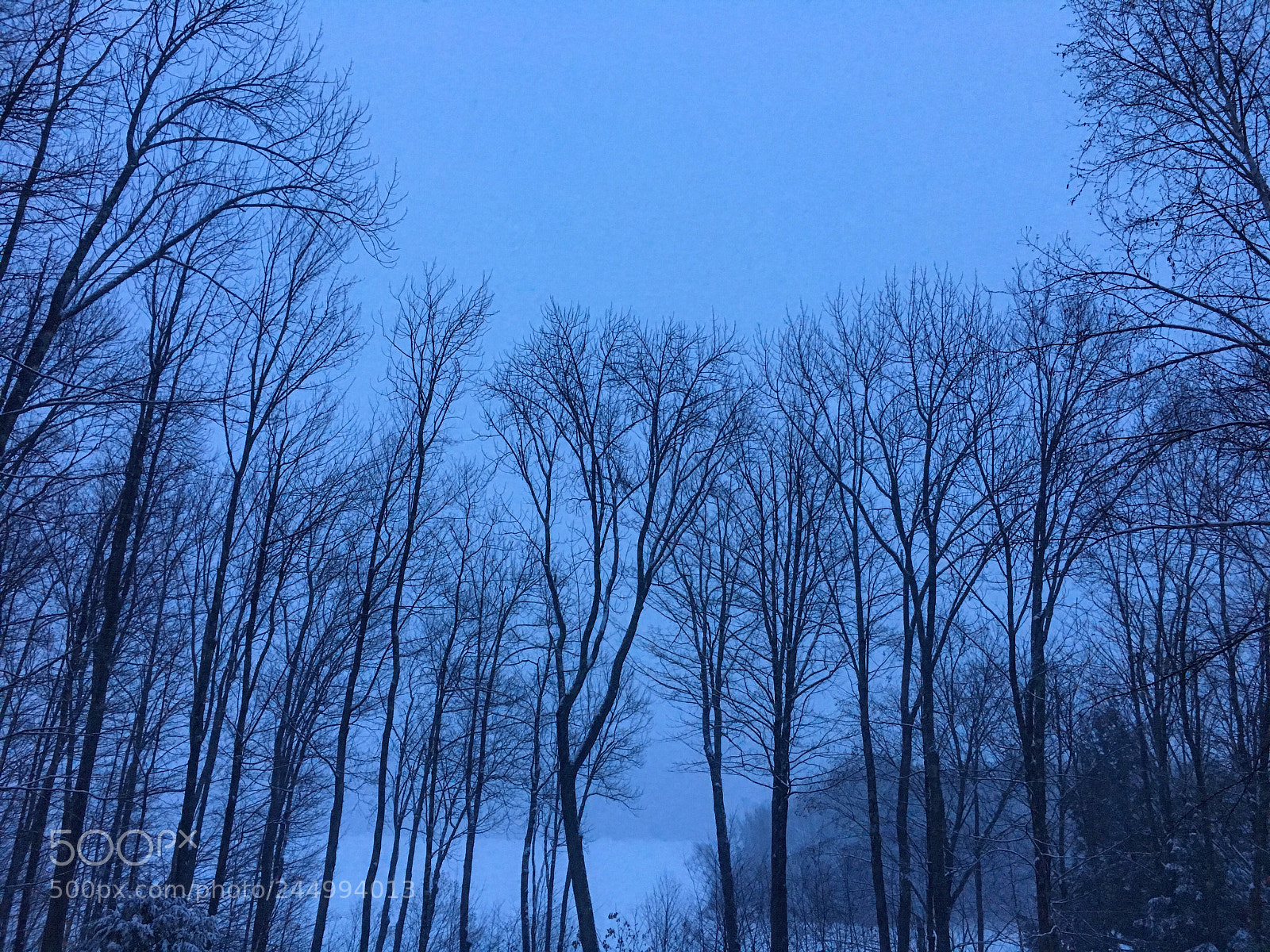 Apple iPhone 6s sample photo. Untitled photography