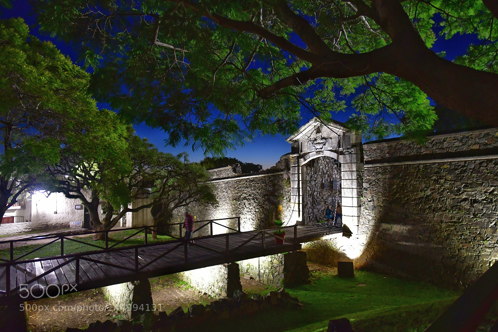 Nikon D500 sample photo. Fortress photography