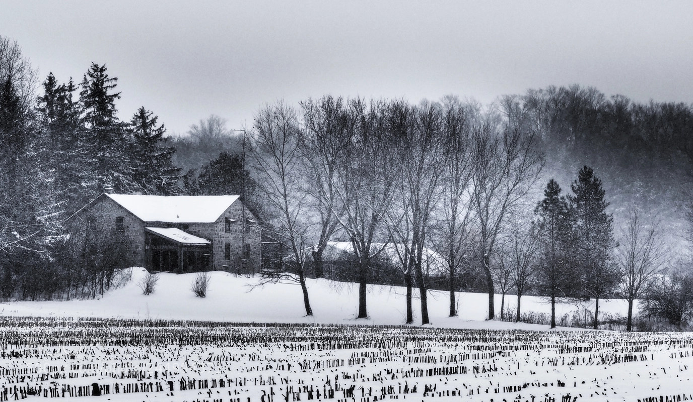 Olympus OM-D E-M1 sample photo. Snowy february day photography