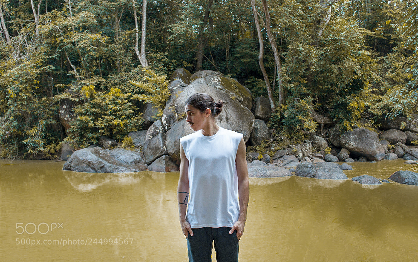 Nikon D3100 sample photo. Half nature half gold photography