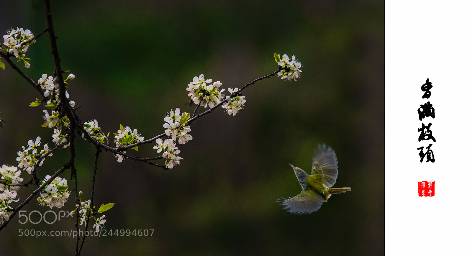 Nikon D810 sample photo. Untitled photography