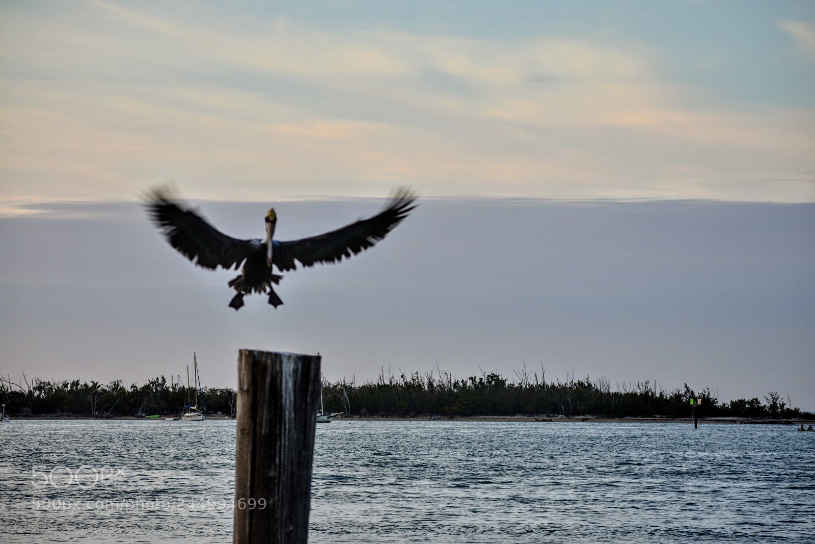 Nikon D3400 sample photo. Landing photography