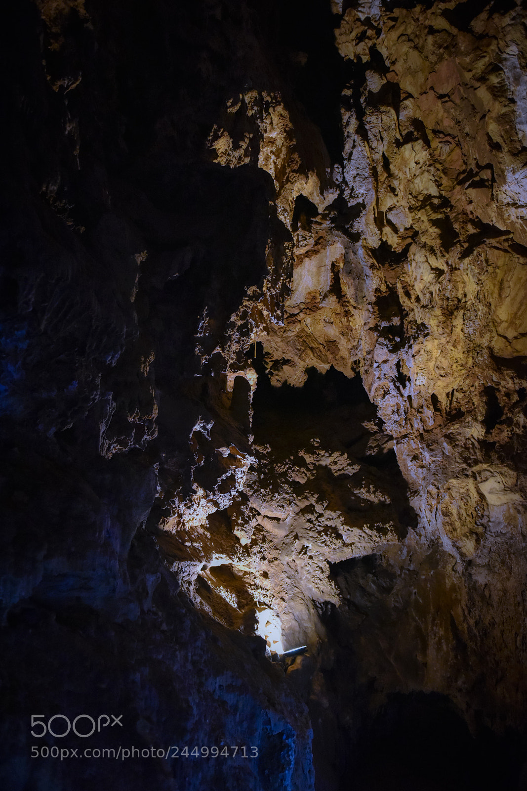 Nikon D810 sample photo. Zwp photography