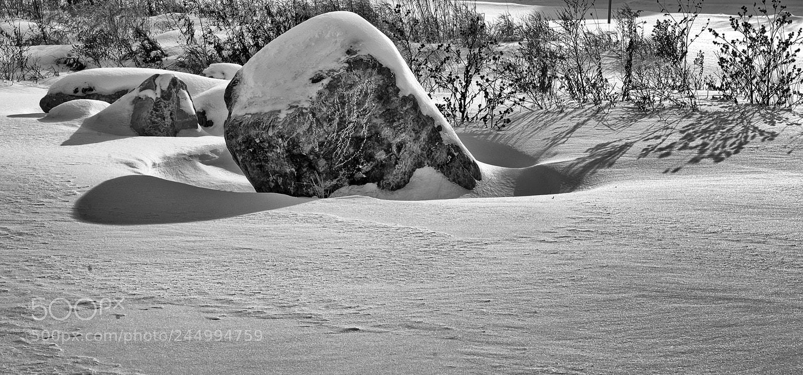 Nikon D610 sample photo. Shadows of winter photography