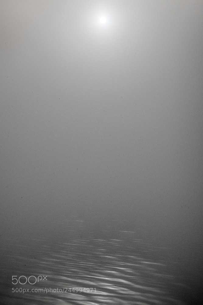 Nikon D800 sample photo. The fog photography
