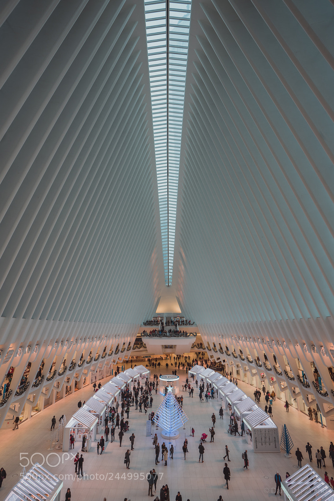 Sony a7R III sample photo. Christmas oculus station photography