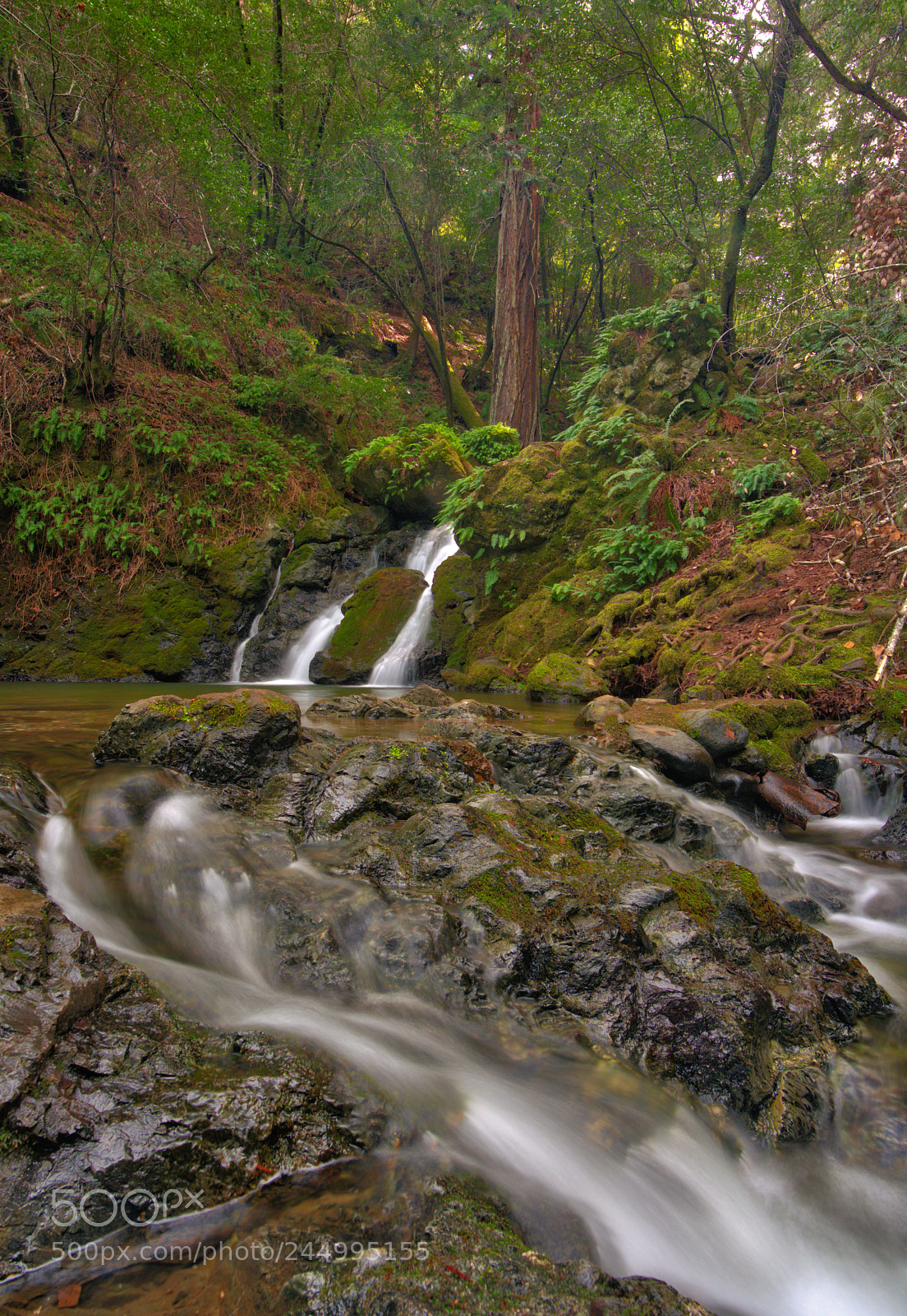 Sony a7R II sample photo. Cataract falls photography