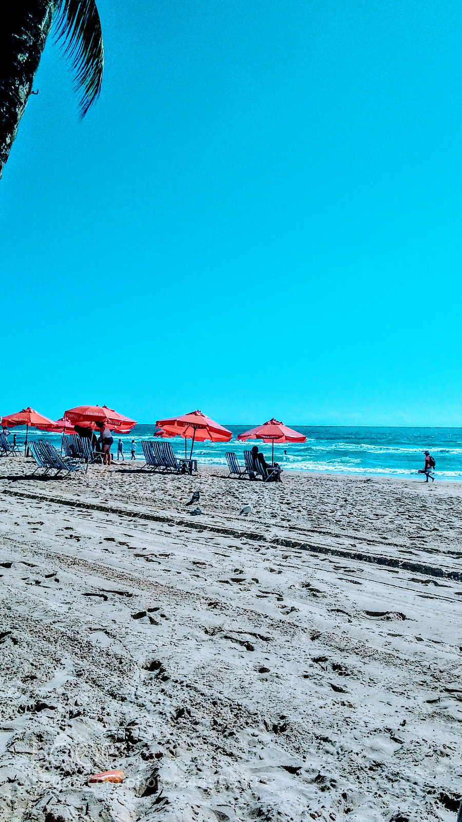 Motorola Moto G Play sample photo. Untitled photography