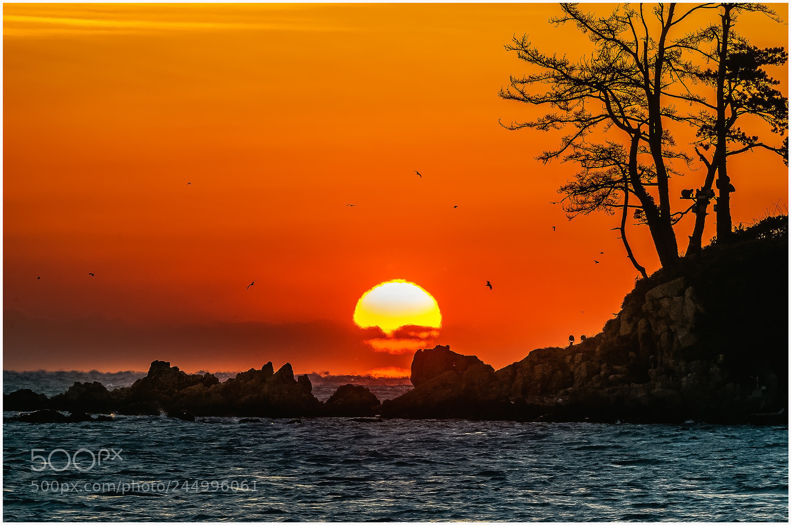 Nikon D300 sample photo. Sunrise photography
