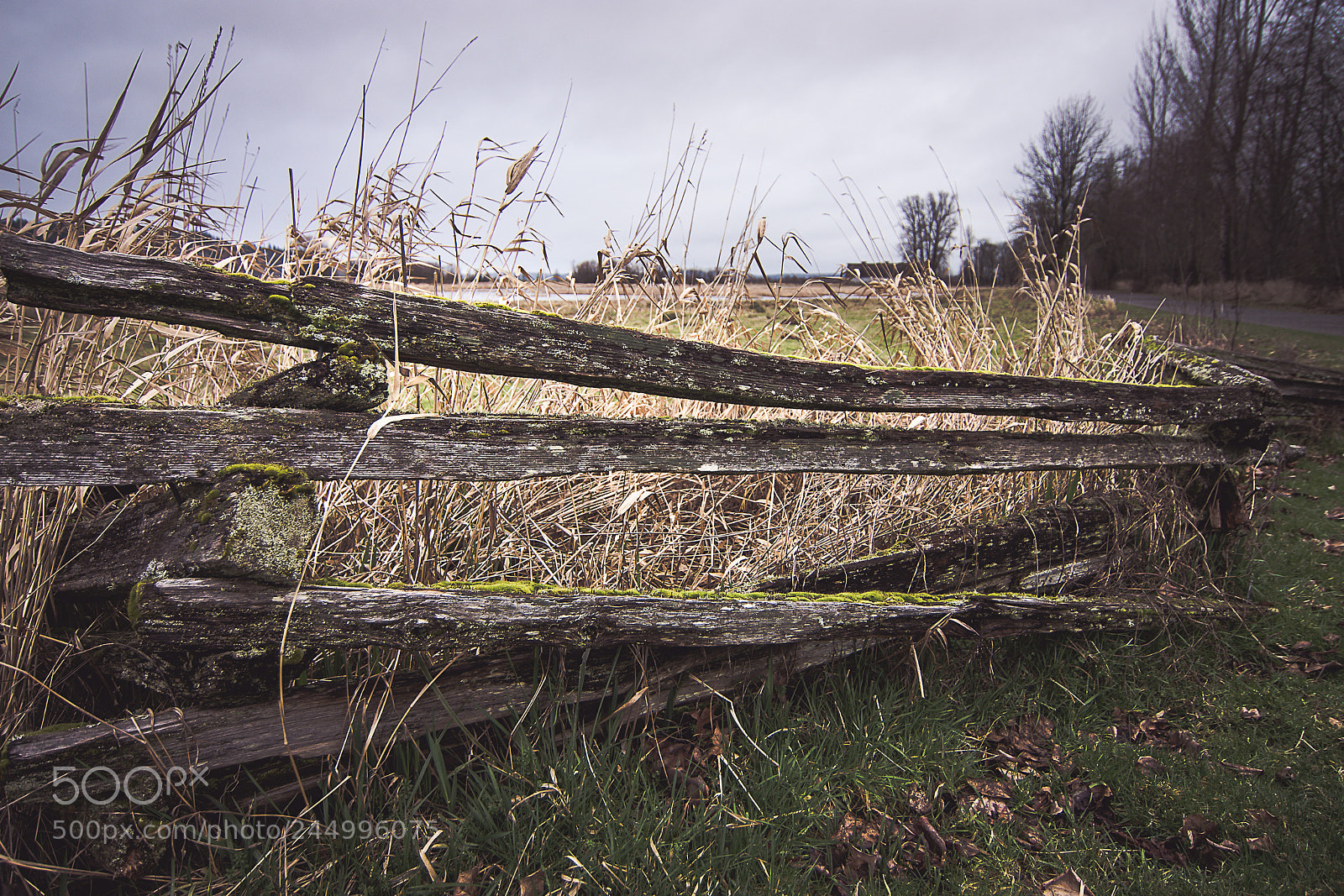 Nikon D7200 sample photo. Nwr (of ) photography