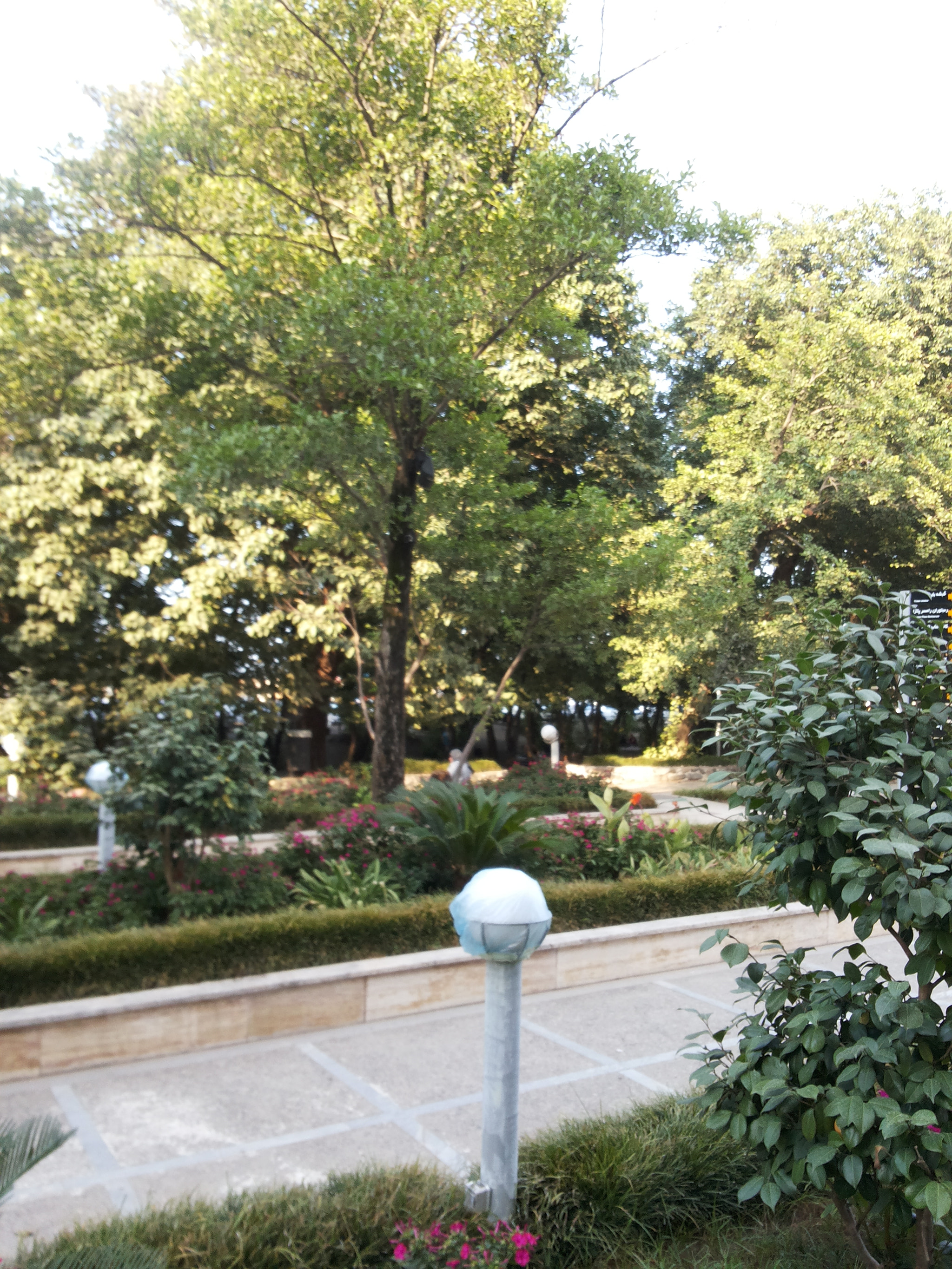 Samsung Galaxy Grand Duos sample photo. Ramsar i photography