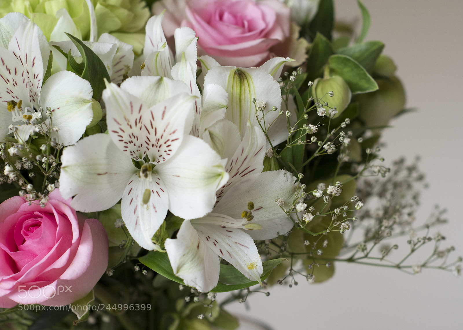 Nikon D7100 sample photo. Cottage garden posy photography