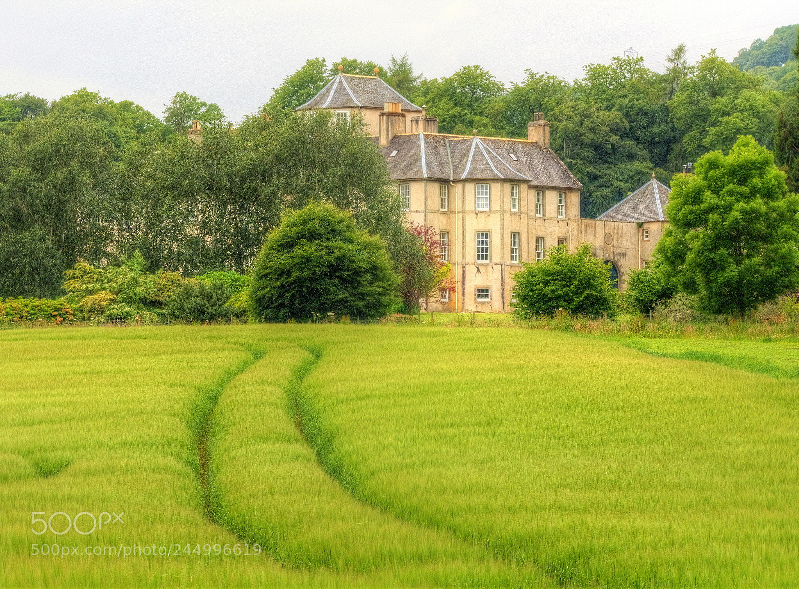 Olympus OM-D E-M1 sample photo. Tracks in the field 2 photography