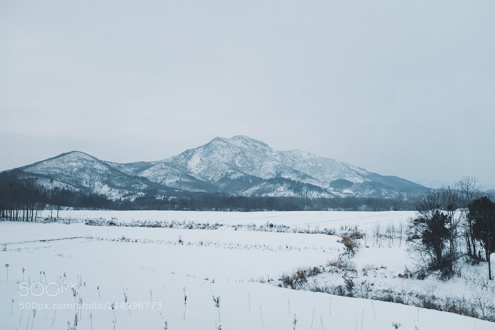 Fujifilm X100F sample photo. Untitled photography