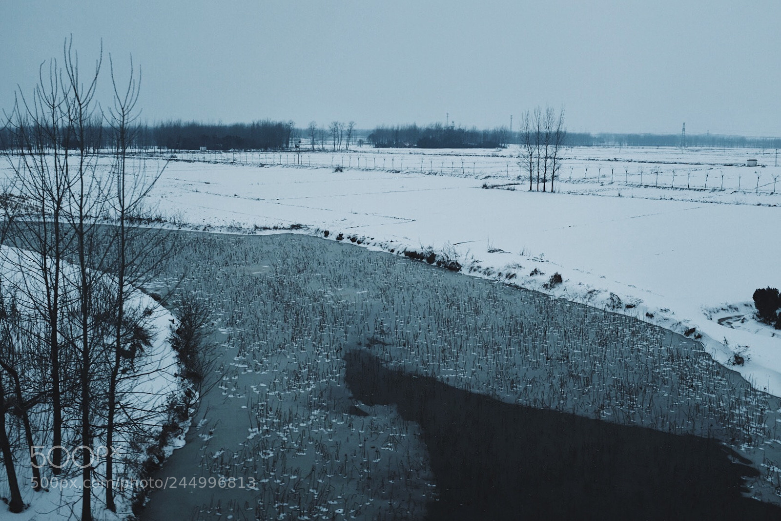 Fujifilm X100F sample photo. Untitled photography