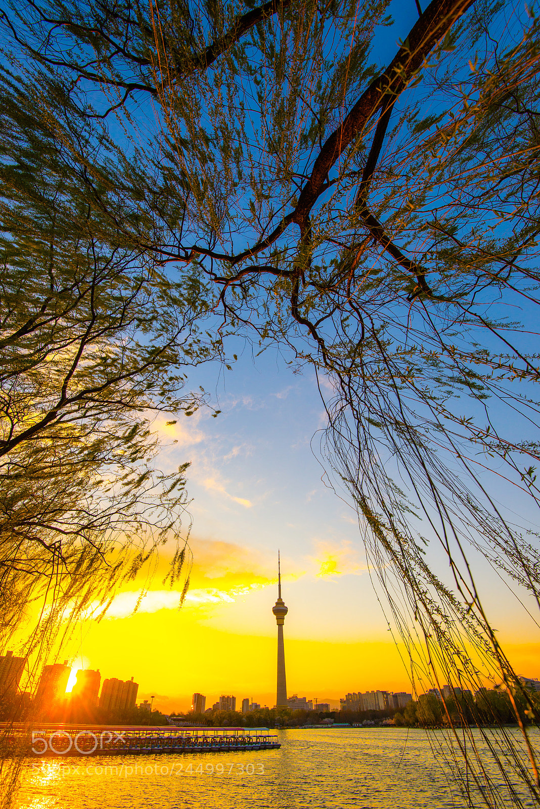Nikon D610 sample photo. 玉渊潭 photography