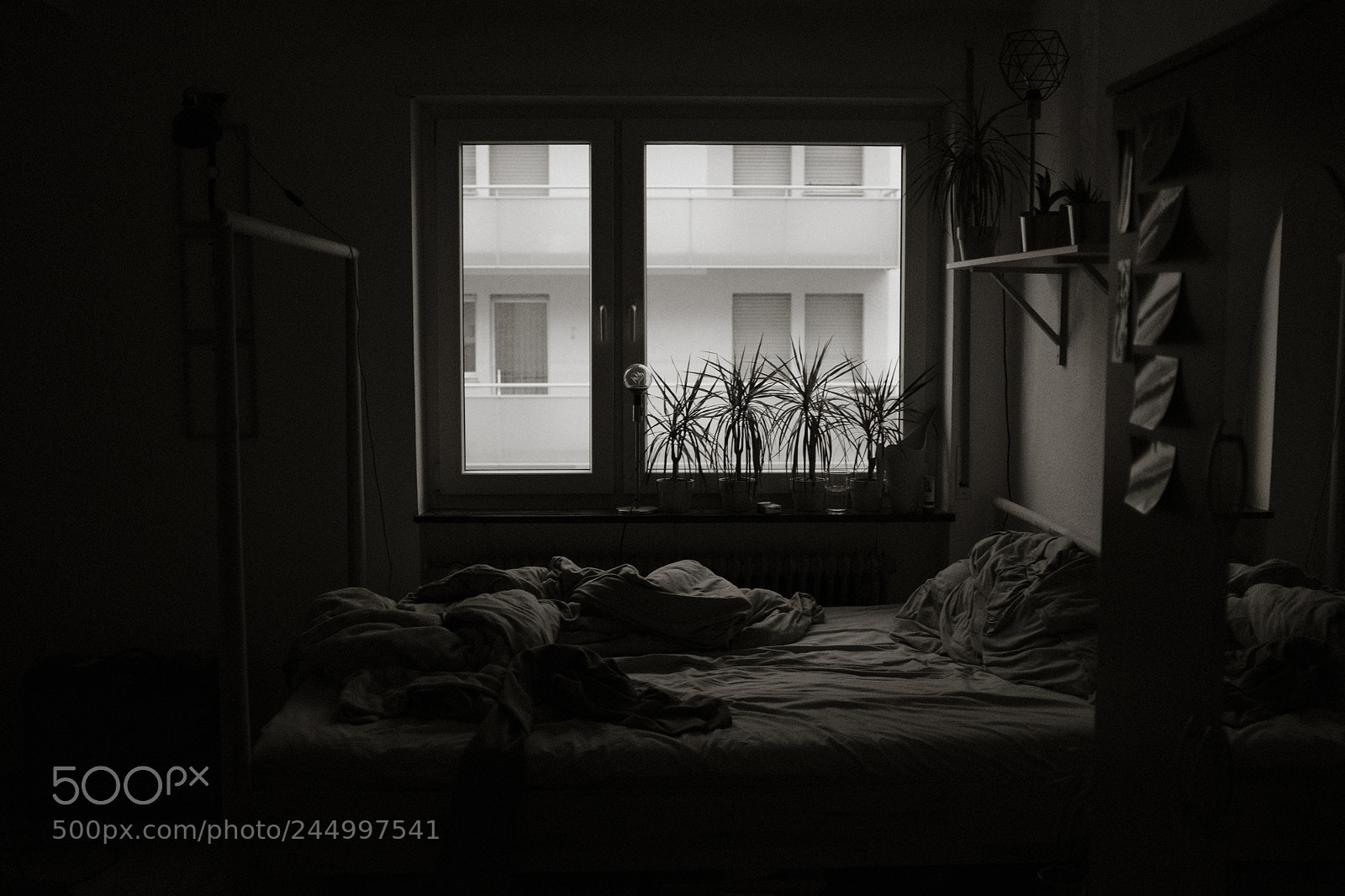 Fujifilm X100F sample photo. The start and the photography