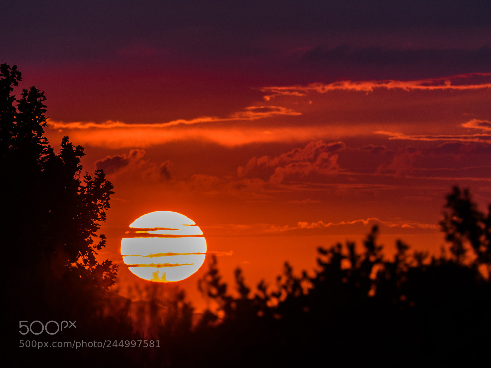 Olympus OM-D E-M1 sample photo. Red sunset photography