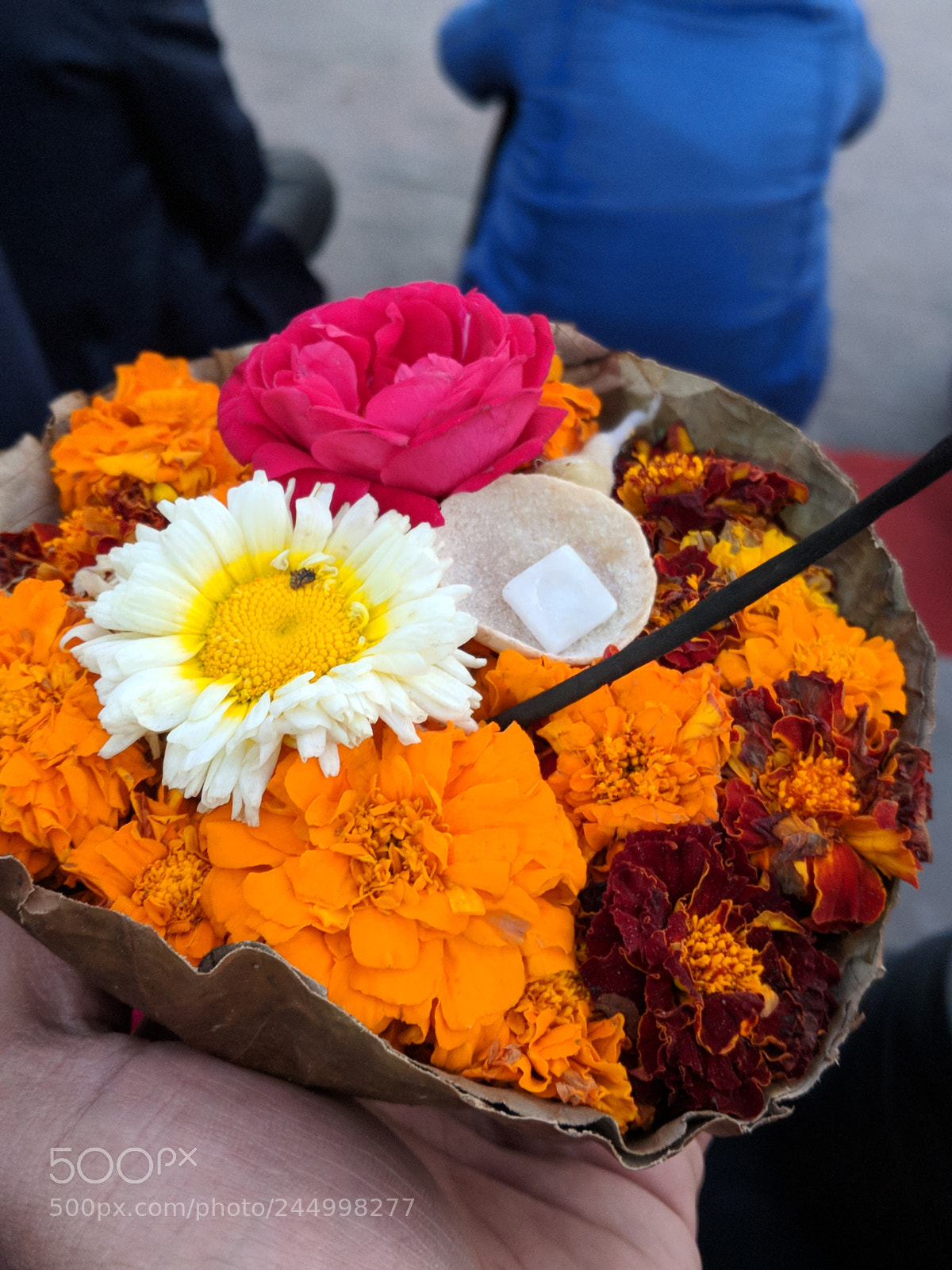 Google Pixel 2 sample photo. Flowers photography