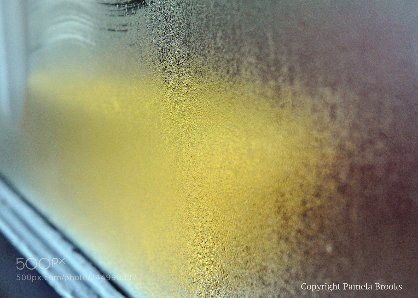 Nikon D90 sample photo. Yellow pot photography