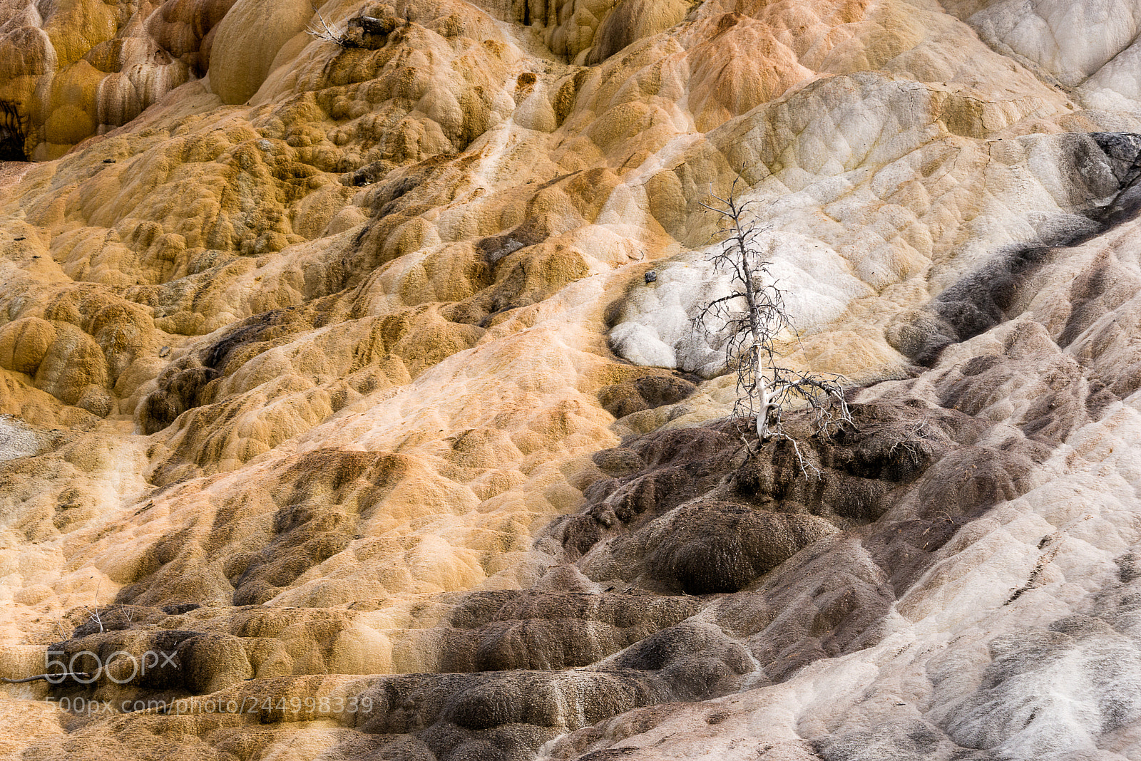 Nikon D610 sample photo. Still standing photography
