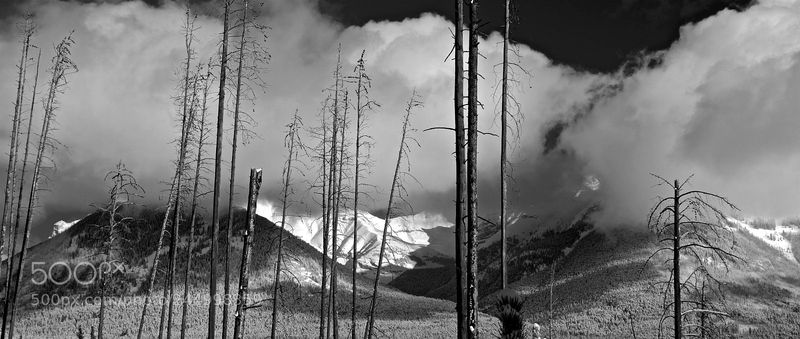 Fujifilm X-T2 sample photo. Banff photography