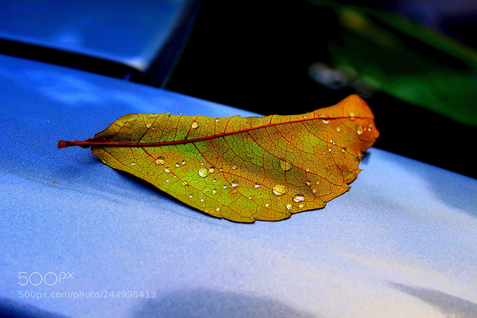 Canon EOS 1200D (EOS Rebel T5 / EOS Kiss X70 / EOS Hi) sample photo. Be-leaf in yourself photography