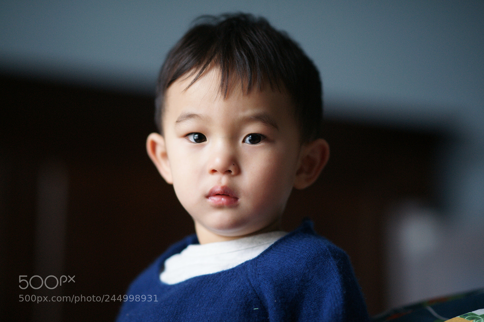 Sony Alpha DSLR-A850 sample photo. Untitled photography