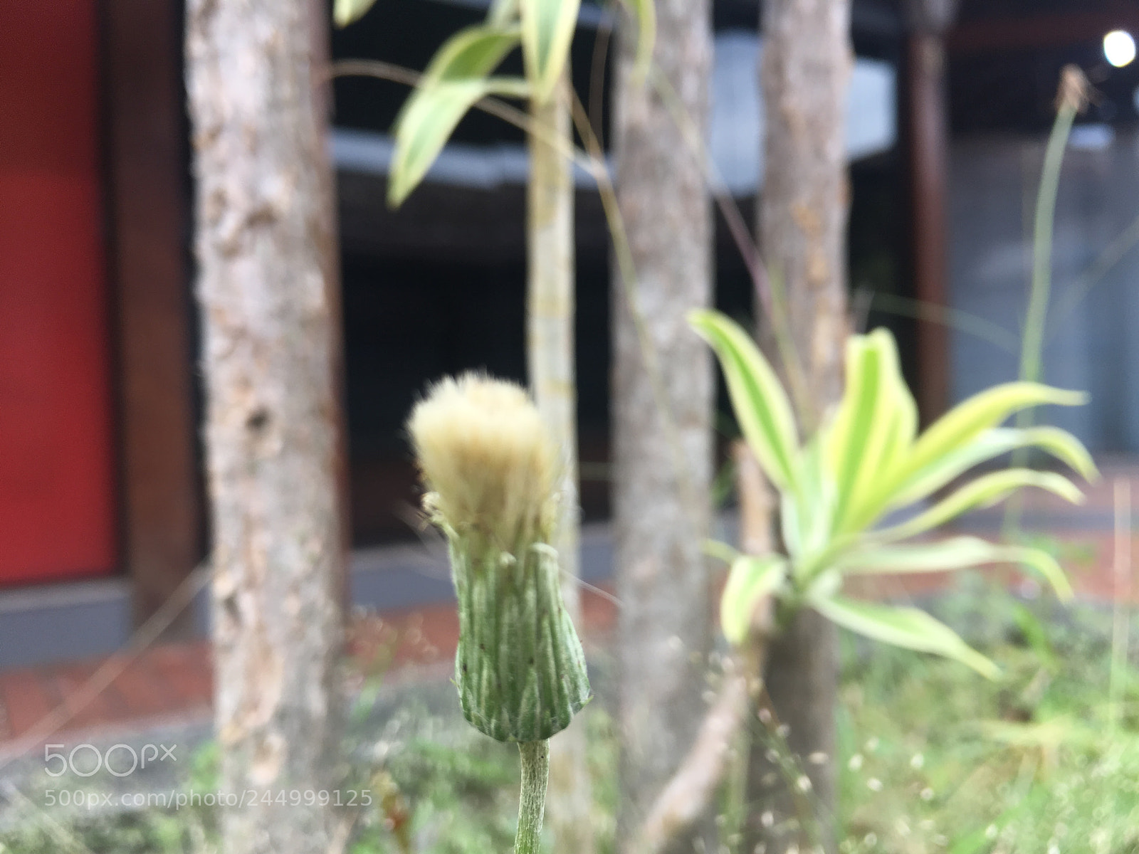 Apple iPhone 6s Plus sample photo. Cachoeiras de macacu-rj photography