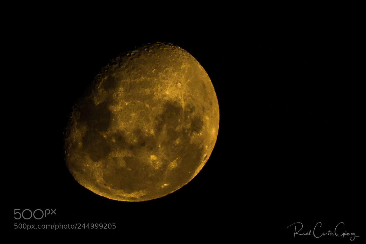 Nikon D7100 sample photo. Luna photography