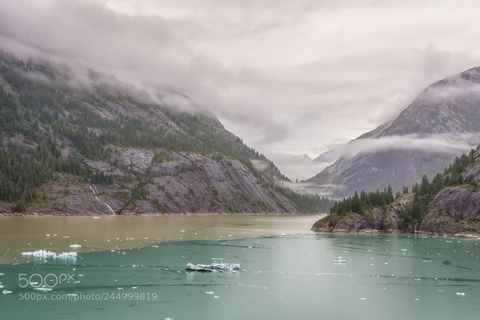 Nikon D7200 sample photo. Tracy arm fjord photography