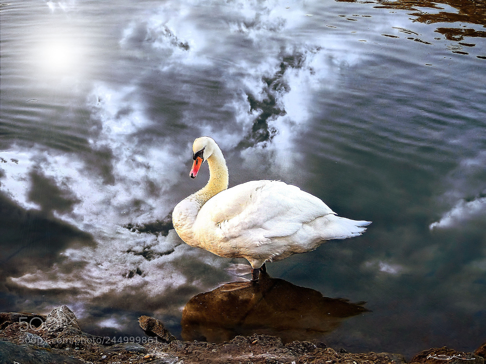 Panasonic Lumix DMC-FZ200 sample photo. Cold feet photography
