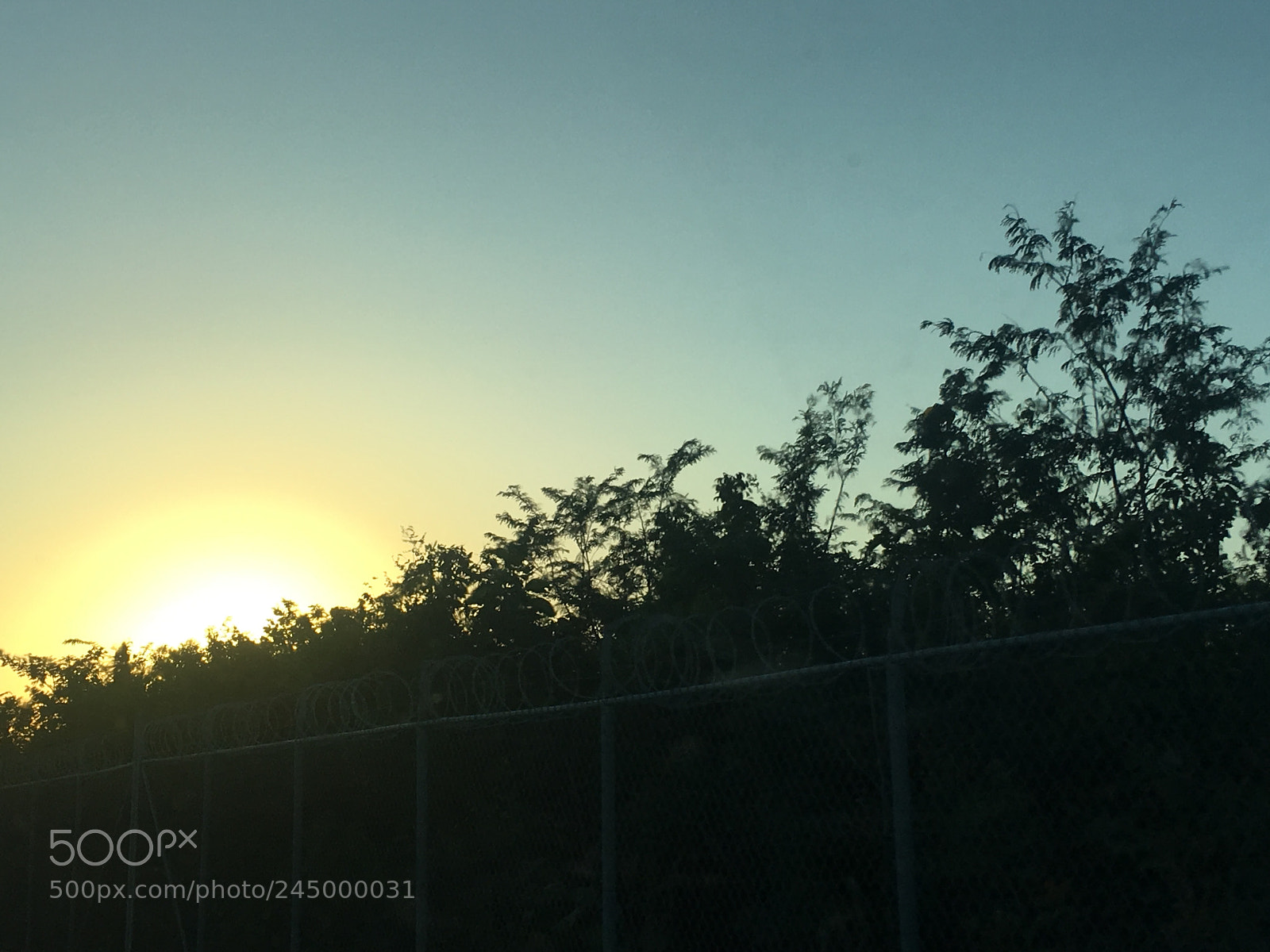 Apple iPhone 6s sample photo. Untitled photography