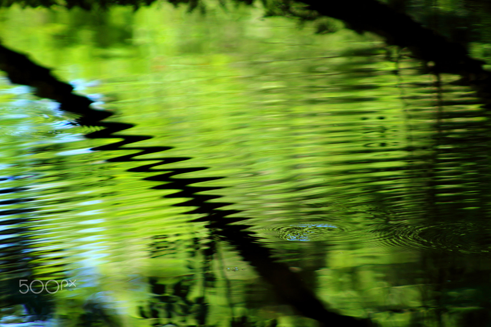 Canon EOS 1200D (EOS Rebel T5 / EOS Kiss X70 / EOS Hi) + EF75-300mm f/4-5.6 sample photo. Ripple me not photography