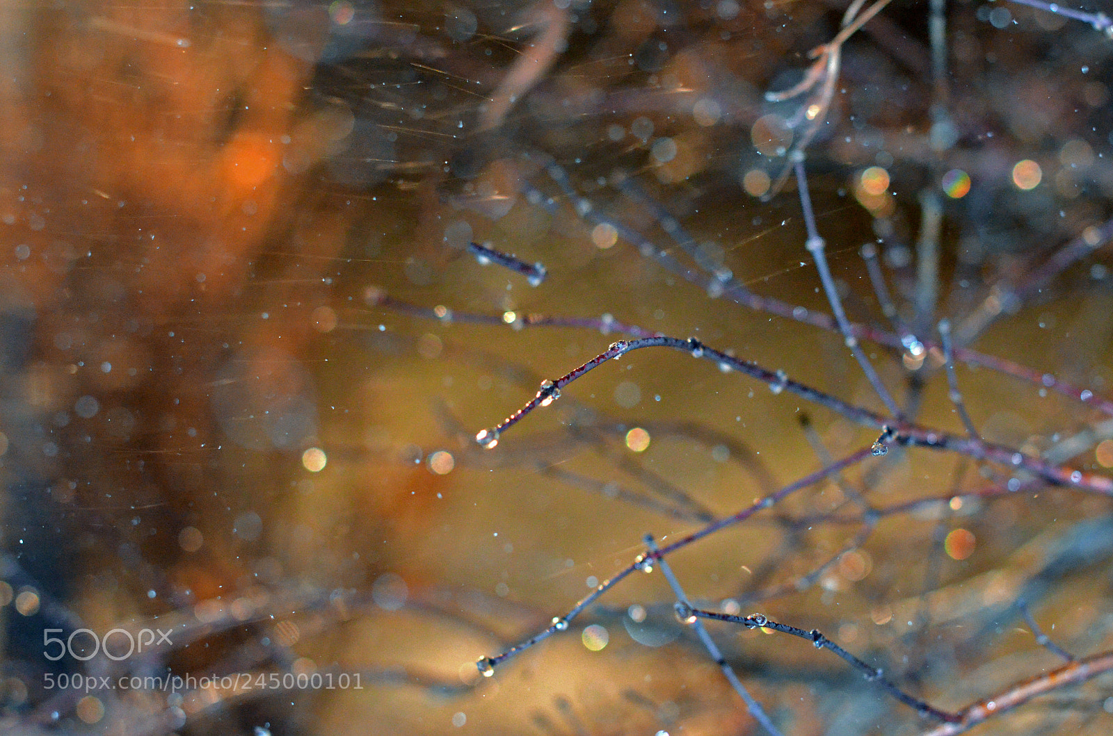 Nikon D5100 sample photo. Ice snow and wind photography