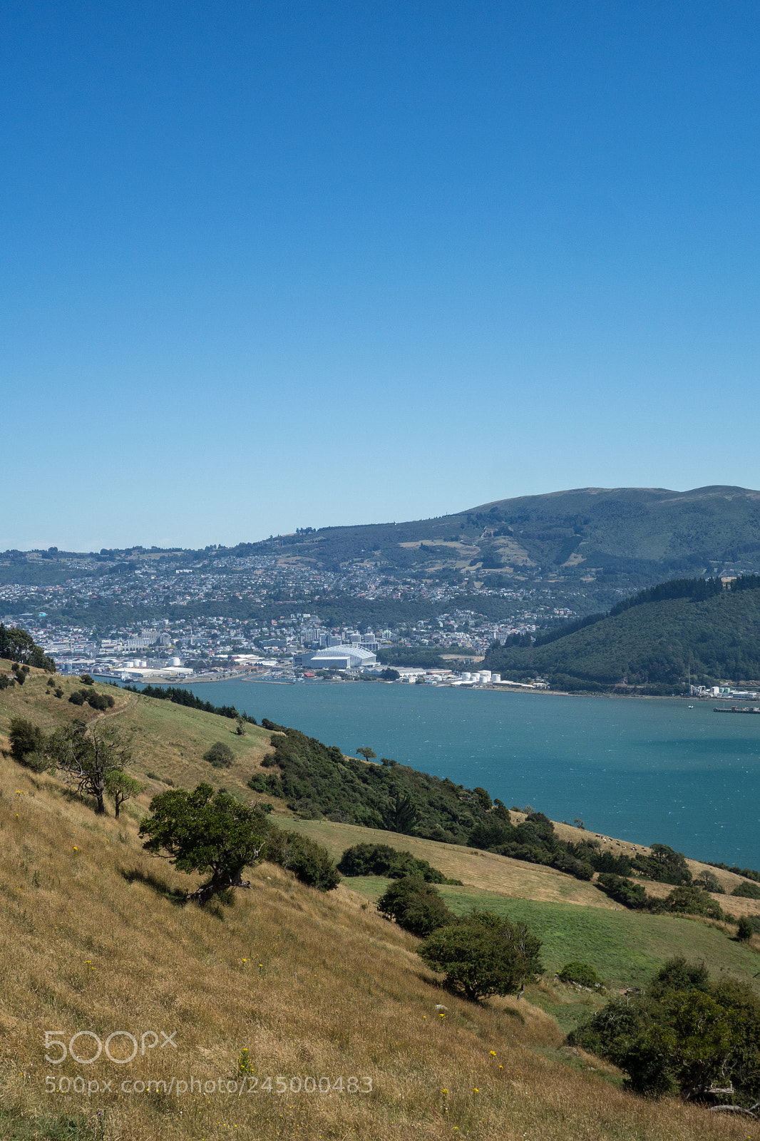 Sony Cyber-shot DSC-RX100 sample photo. Dunedin harbour photography
