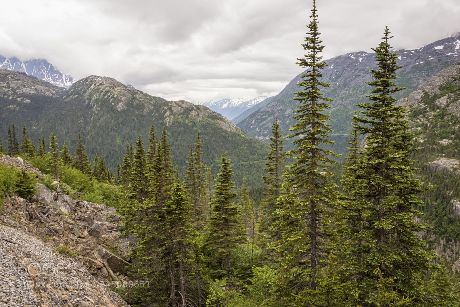 Nikon D7200 sample photo. Skagway, alaska photography