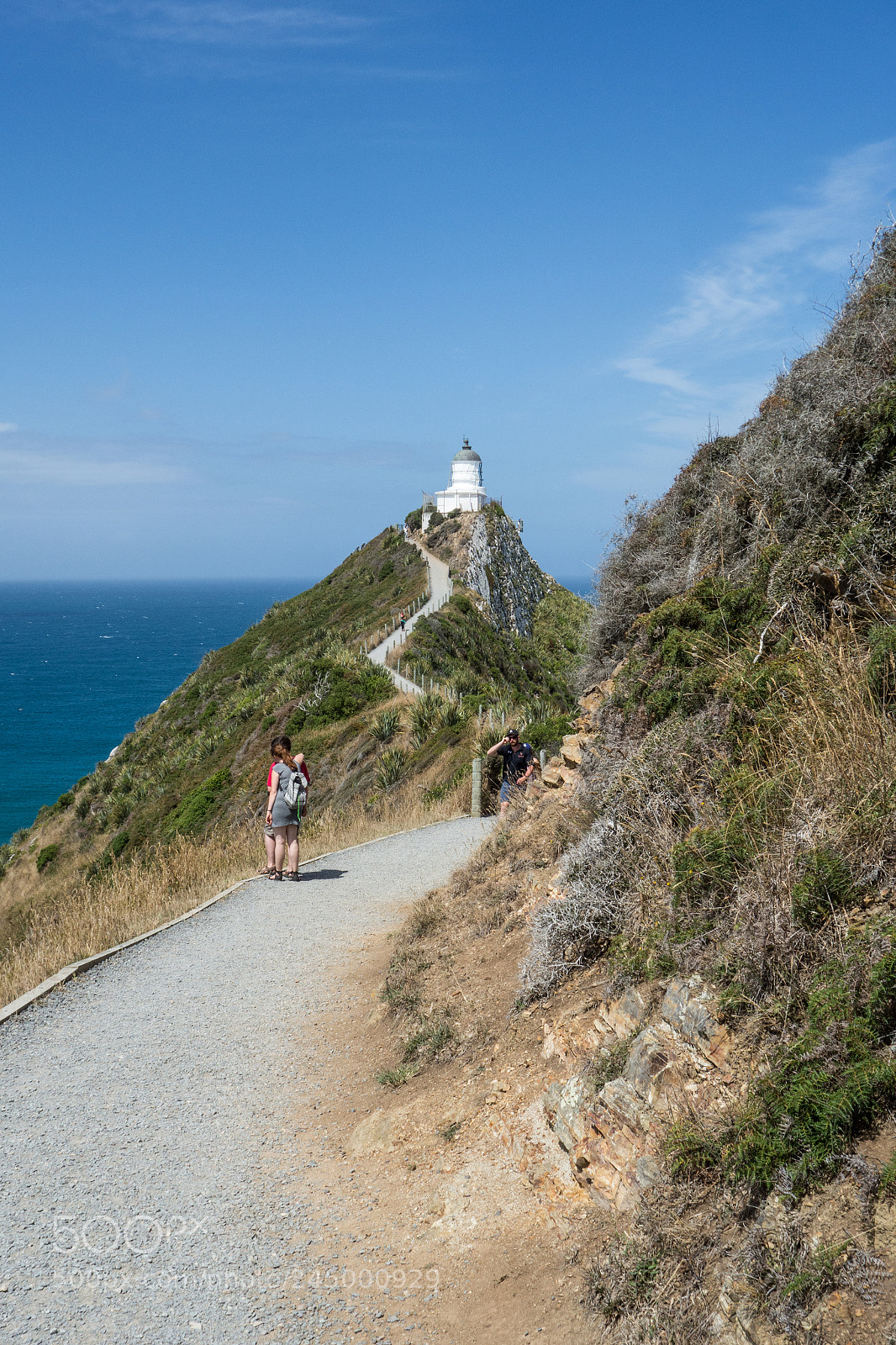Sony Cyber-shot DSC-RX100 sample photo. Nugget point lighthouse photography