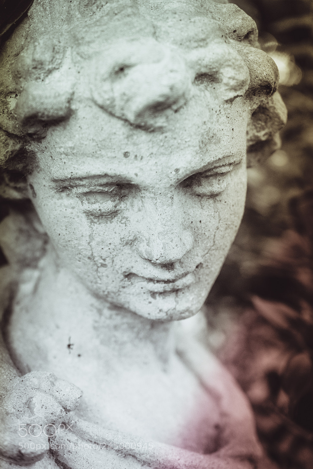 Nikon D500 sample photo. Wine country woman photography