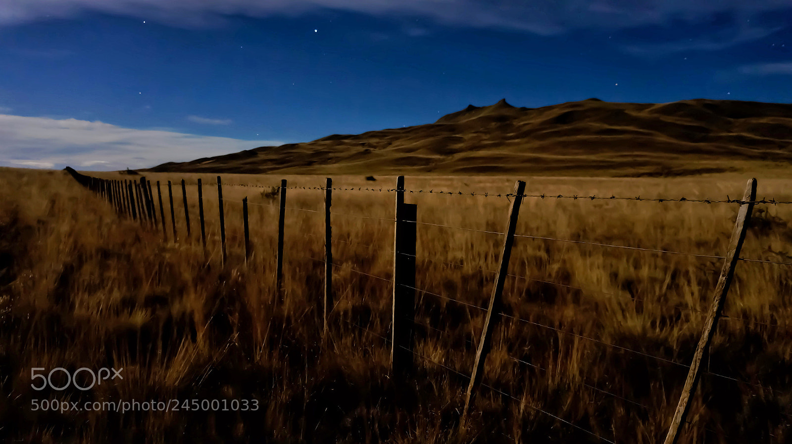 Sony Alpha a3500 sample photo. Untitled photography