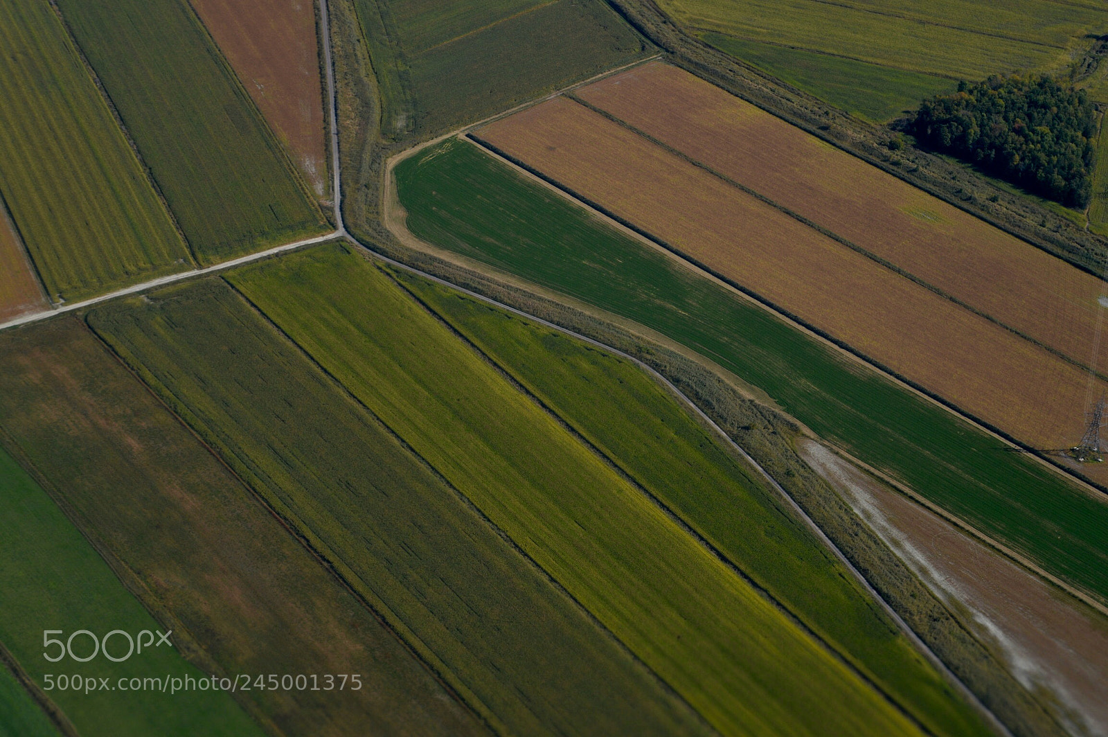 Nikon D3200 sample photo. There will be wheat. photography